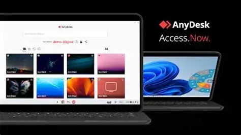 AnyDesk 主控台界面